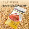 研食妈咪豆筋卷卷孕妇零食孕期休闲解馋怀旧儿时辣条面筋 商品缩略图2