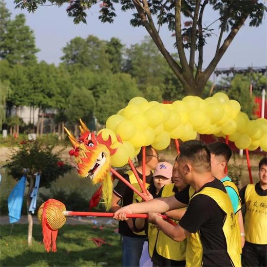 中国龙 商品图2