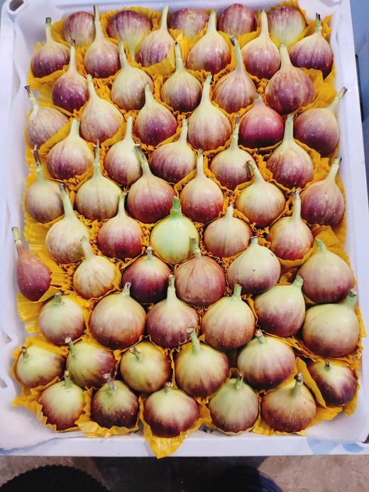 散无花果一盒（6两） 商品图0