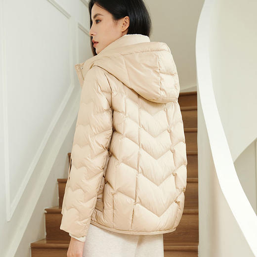 玳莎女装撞色领连帽白鸭绒羽绒服冬季时尚轻薄保暖短外套  DD41302 商品图1