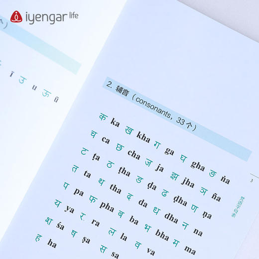 B1196艾扬格Life 《认识字母》 学习瑜伽梵文书籍 商品图4