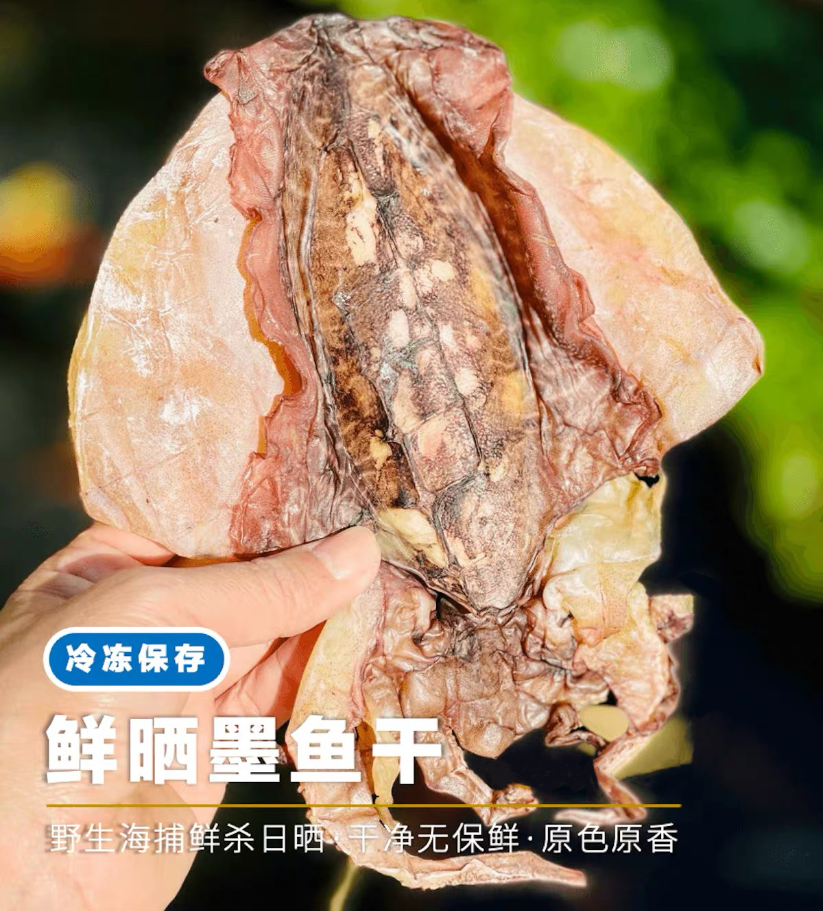 东山岛|鲜晒墨鱼|干野生特级干货 |煲汤煲粥好食材