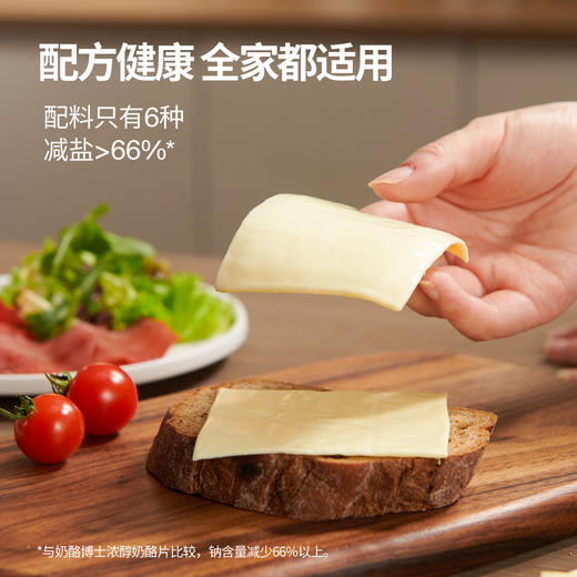 奶酪博士 奶酪片（原味）5袋装 83g*5 商品图2