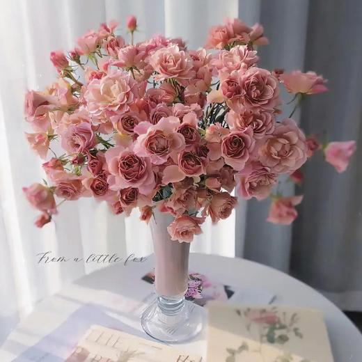 【AB级索拉多头玫瑰.第二份3.9元】5支/份 商品图0