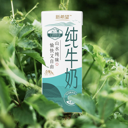 新希望纯牛奶 商品图2