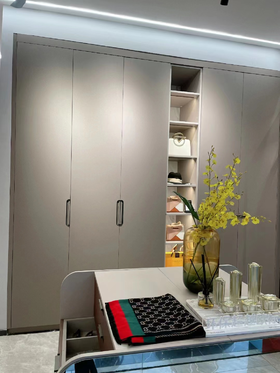 索菲亚柜（米苏系列）