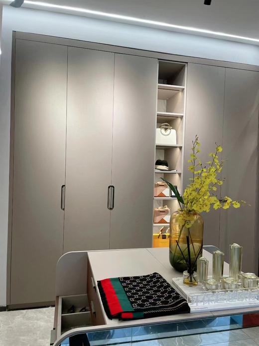 索菲亚柜（米苏系列） 商品图0