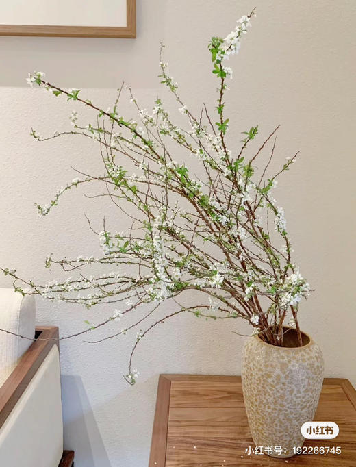 国产花材-【雪柳花】 商品图1