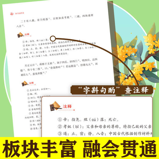 《通识文库-尚书这样读》 商品图2