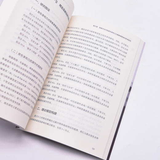 民宿房东*和力对顾客的影响研究 *和力为研究重点 深入剖析房东*和力 如何影响顾客满意度 商品图3