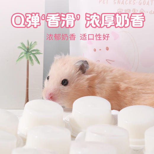 毛团兽山羊奶布丁6粒装 仓鼠金丝熊小宠零食 商品图3