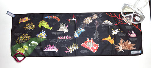 【装备】海洋生物图鉴速干巾 速干纤维 户外运动沙滩巾潜水冲浪 商品图10