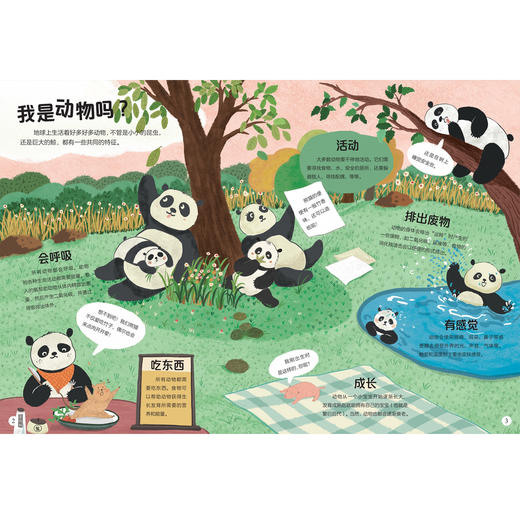 《孩子爱问的十万个为什么》（共6册） 商品图6