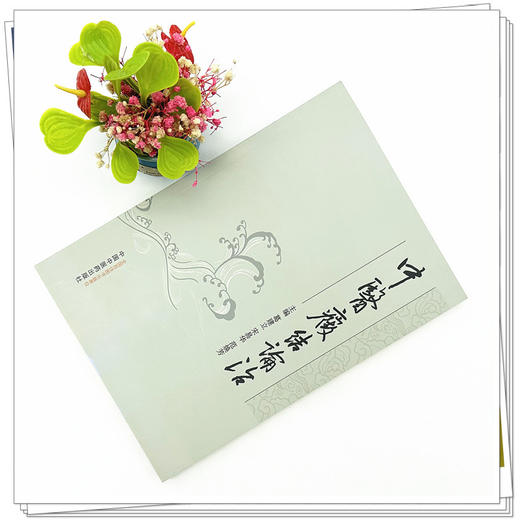 中医癥结论治 葛建立 宋易华 范焕芳 主编 中国中医药出版社 商品图1