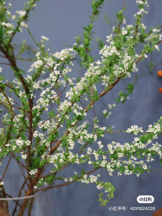 国产花材-【雪柳花】 商品图0