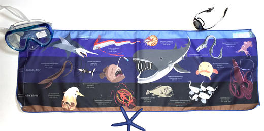 【装备】海洋生物图鉴速干巾 速干纤维 户外运动沙滩巾潜水冲浪 商品图6