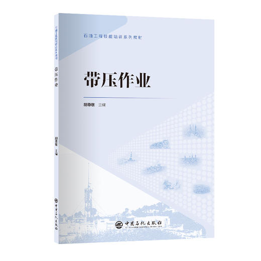 带压作业 商品图0