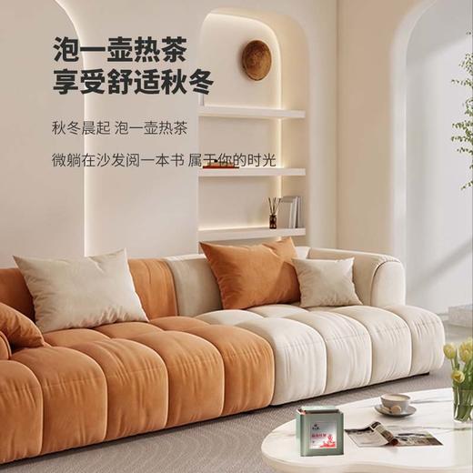 黄红缨高山红茶100g铁罐自饮装花果蜜香口粮红茶 商品图4