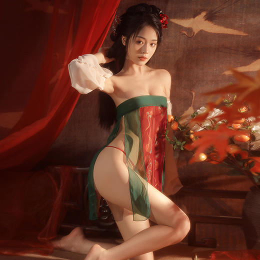 【狐媚娘】情趣内衣 纯欲 古风 印花 唐风 汉服 情趣衣 性感内衣 型号：6885 商品图5