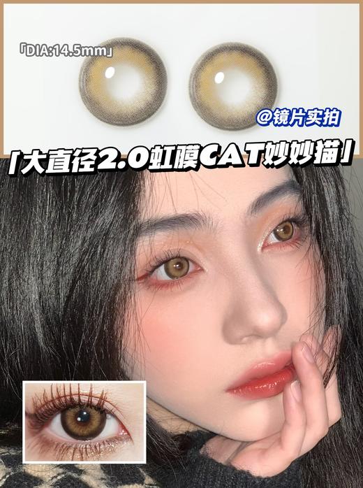 正品年抛 | alicydoll系列妙妙猫美瞳 | 直径14.5着色直径14.0 | 韩国 商品图5