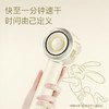 飞科（FLYCO） FH6372联名款 吹风机家用电吹风高速负离子大风力速干低噪音便携吹风筒七夕情人节礼物送女友 商品缩略图3