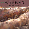 温县垆土地铁棍山药 生态种植产地直发 2.5kg/箱 商品缩略图5