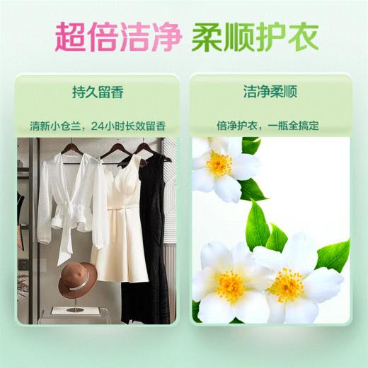 【日化洗护】立白小苍兰柔顺香氛洗衣液 双瓶特惠装QSH 商品图2