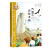 《布莱顿少年冒险团》系列8册 商品缩略图2