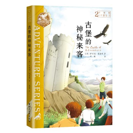 《布莱顿少年冒险团》系列8册 商品图2