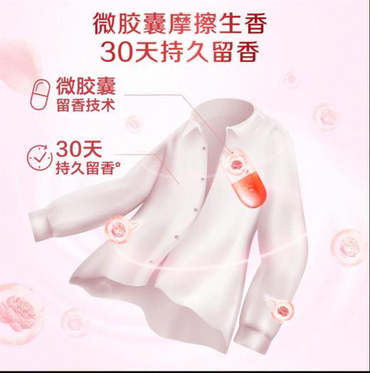 【日化洗护】立白大师香氛衣物柔顺剂QSH 商品图2