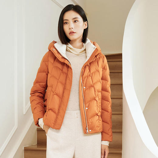 玳莎女装撞色领连帽白鸭绒羽绒服冬季时尚轻薄保暖短外套  DD41302 商品图2