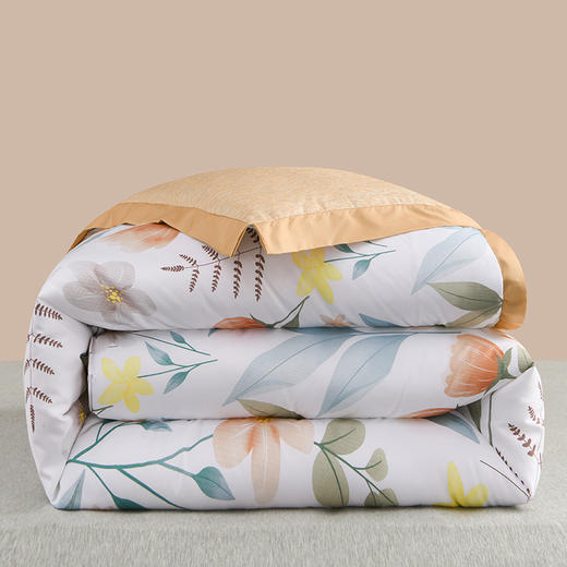 「数款可选」馨柔羽丝绒冬被 加厚保暖春秋冬被 床上用品 商品图0