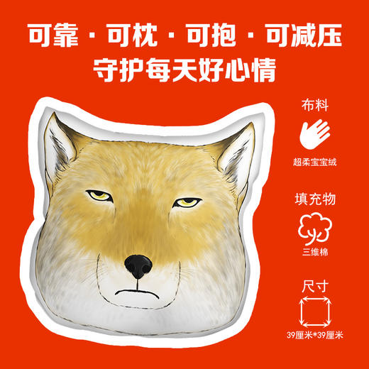 给孩子的自然博物课：一学就会的视觉笔记（礼盒版） 商品图3