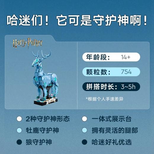 乐高76414守护神咒 商品图5