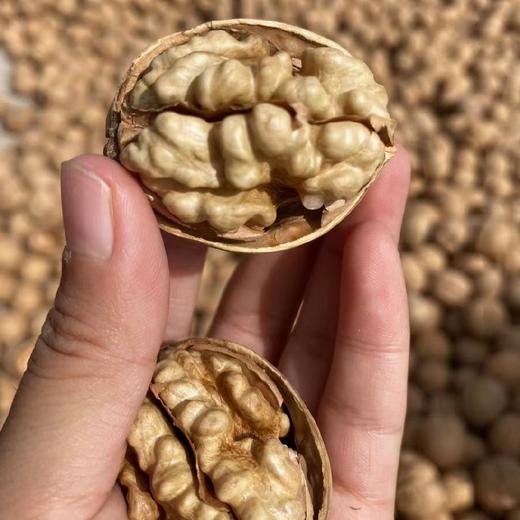 新疆阿克苏185一级真正纸皮核桃 3/5斤装 商品图14