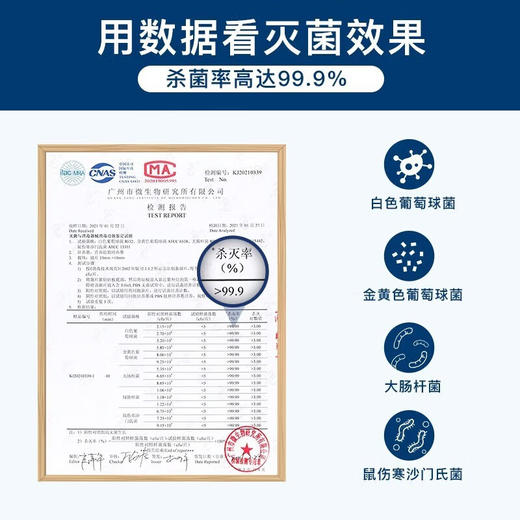 【小家电】摩飞砧板刀具筷子消毒机家用小型消毒刀架分类菜板二代消毒烘干器MR1001HF 商品图2