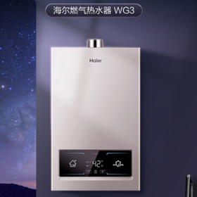 LR海尔（Haier）16升燃气热水器天然气 ECO节能 JSQ30-16WG3(12T)U1