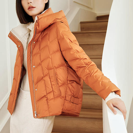 玳莎女装撞色领连帽白鸭绒羽绒服冬季时尚轻薄保暖短外套  DD41302 商品图3