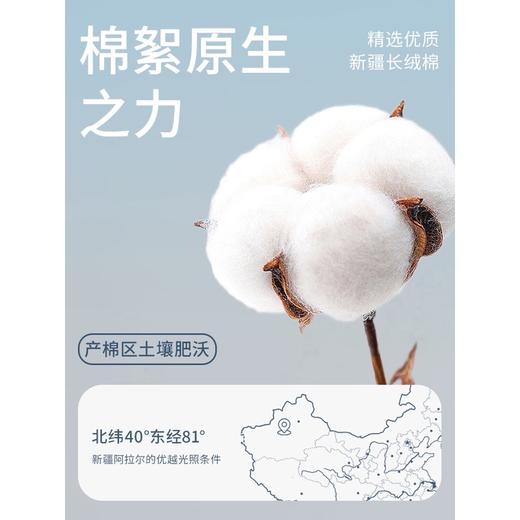 洁丽雅新疆棉毛巾纯棉洗脸家用男女洗澡加厚全棉吸水五星酒店男士 商品图4