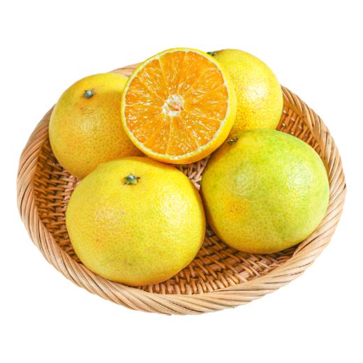 2025 爱媛果冻橙 商品图0