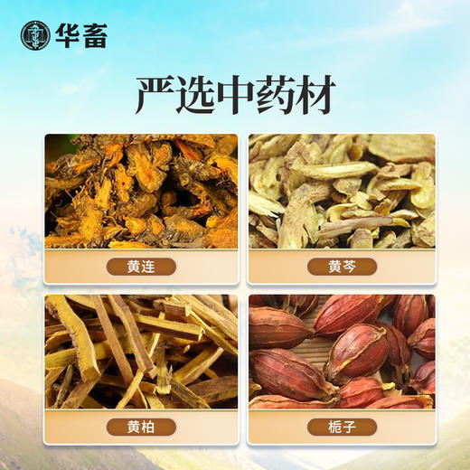 华畜兽用黄连解毒散500g 泻火解毒 抗病毒 甄选中药材 疗效更好 禽畜通用 商品图2