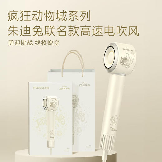 飞科（FLYCO） FH6372联名款 吹风机家用电吹风高速负离子大风力速干低噪音便携吹风筒七夕情人节礼物送女友 商品图2
