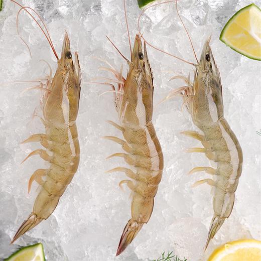 包邮【厂商直发】渤海水产盐田有机生态虾新鲜大虾鲜活冰虾冷冻虾 3盒装（400g/盒） 商品图3