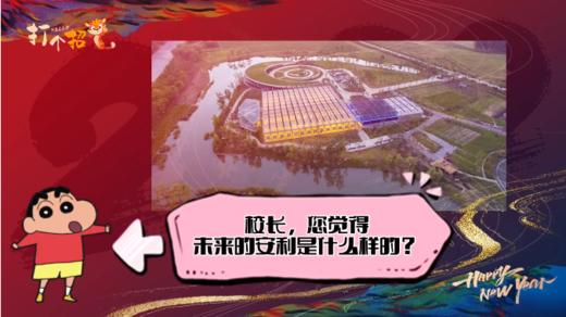 打个招虎｜运旺时盛，借助领航平台一路起飞！ 商品图0