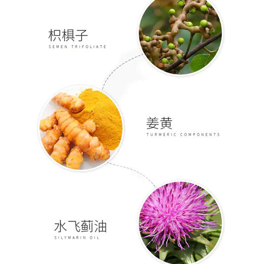 【第2盒半价】SWISSE朝鲜蓟饮 呵护肝脏 白净皮肤 30ml*8瓶/盒 商品图3