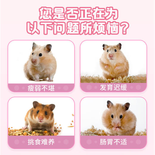 毛团兽山羊奶布丁6粒装 仓鼠金丝熊小宠零食 商品图1