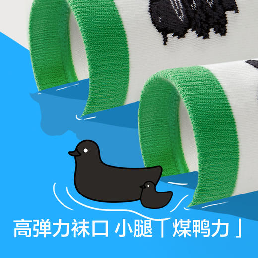 [超级植物联名] 男童鸭力系列中筒袜3双装-CS1006 商品图4
