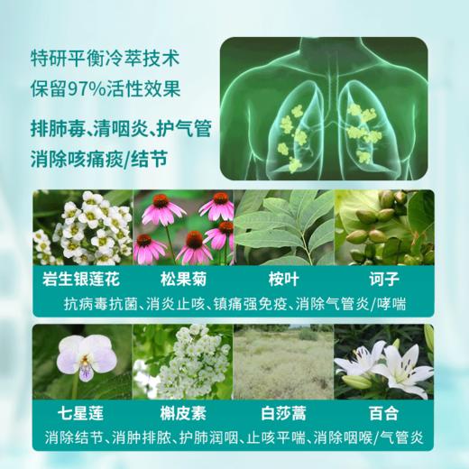 【美国原装进口】CINMOSE咽喉喷 舒缓清咽 清肺利咽 清润修护 商品图5