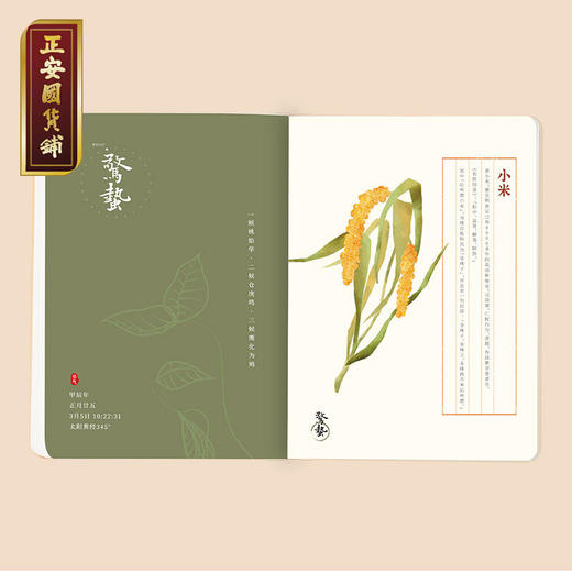 跟随节气养生生发温通力量2024年中医养生日记本1本【预售预计11月中旬发货】 商品图2