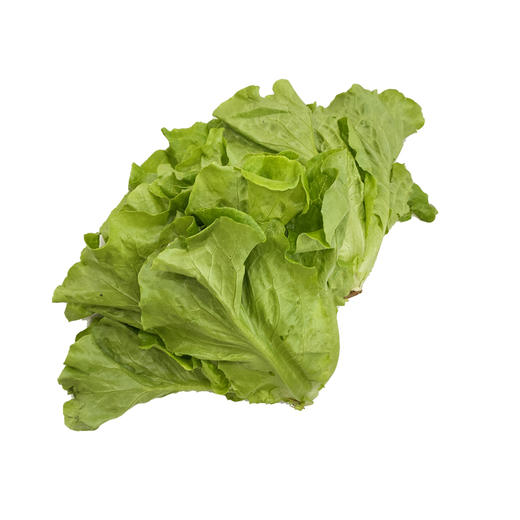 【本地蔬菜】生菜500g 商品图0